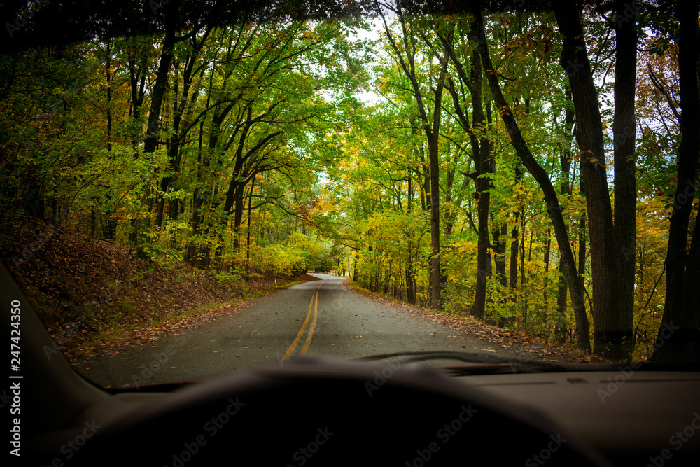 Obraz premium Autumn view from a car