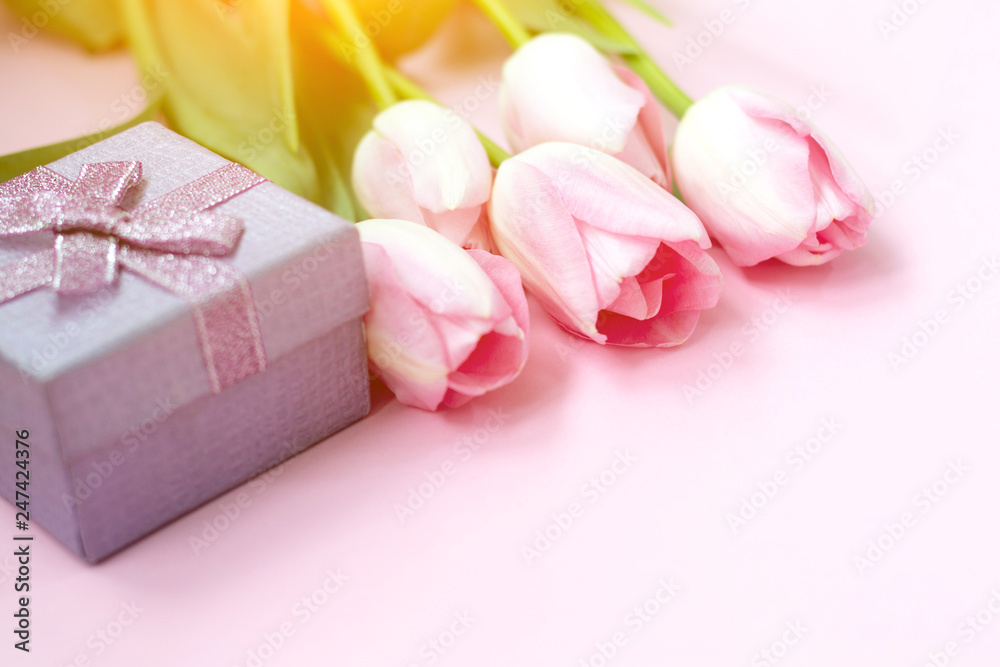 Pink tulips on the pink background with gift box. Flat lay, top view. Valentines background