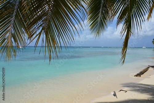 Îles San Blas, Caraïbes Panama - San Blas Islands Caribbean Panama