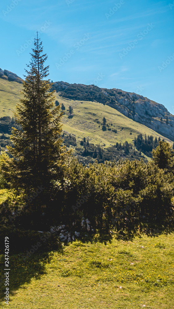 Smartphone HD wallpaper of beautiful alpine view at the Achensee - Maurach - Tyrol - Austria