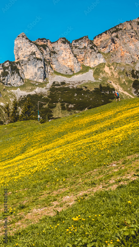 Obraz premium Smartphone HD wallpaper of beautiful alpine view at the Achensee - Maurach - Tyrol - Austria