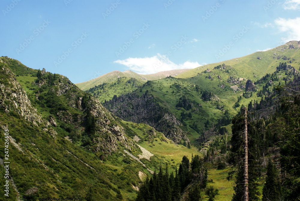 Obraz premium Mountain canyon in summer near the Chimbulak