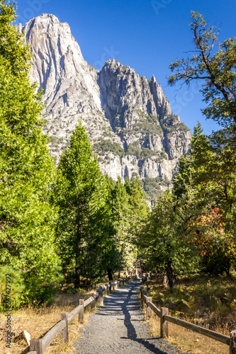 Trail in the Yosemite National Park