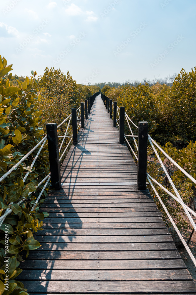 Wooden walkway or bridge among mangrove forest at Chonburi, Thailand