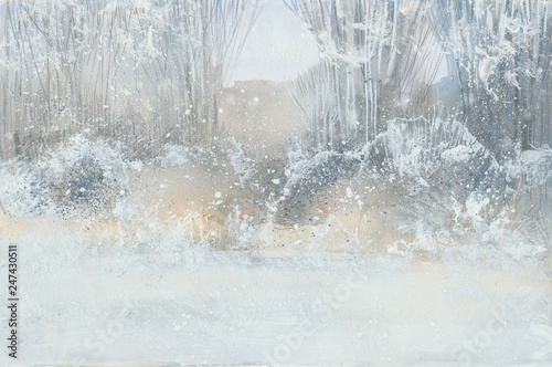 winter snowy  forest