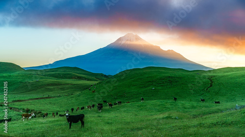 sunrise over green grass  cone volcano mt taranaki  new zealand 1