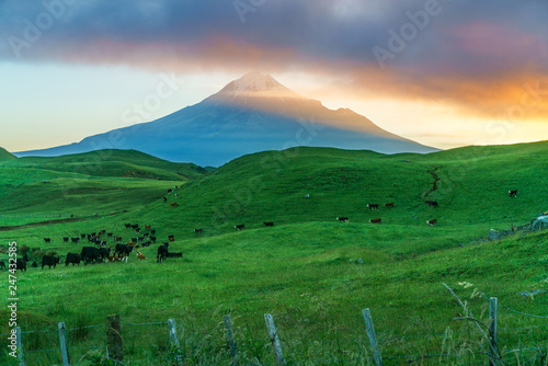 sunrise over green grass, cone volcano mt taranaki, new zealand 3