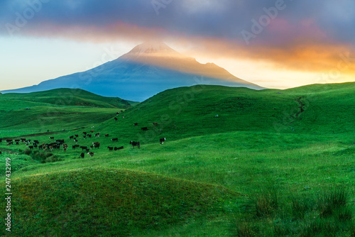 sunrise over green grass, cone volcano mt taranaki, new zealand 5