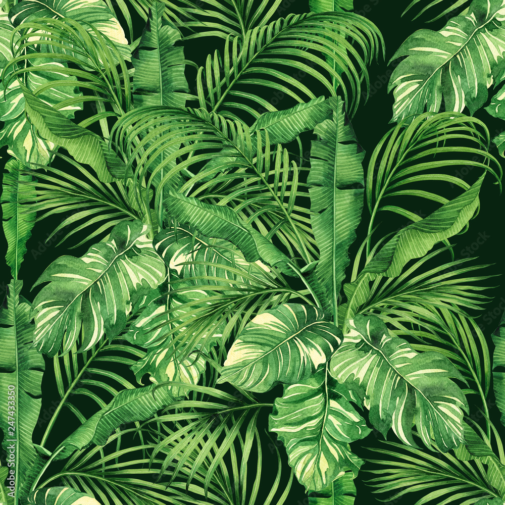 Watercolor Painting Coconut Banana Palm Leaf Green Leave Seamless Pattern Background Watercolor Hand Drawn Illustration Tropical Exotic Leaf Prints For Wallpaper Textile Hawaii Aloha Jungle Style Stock イラスト Adobe Stock