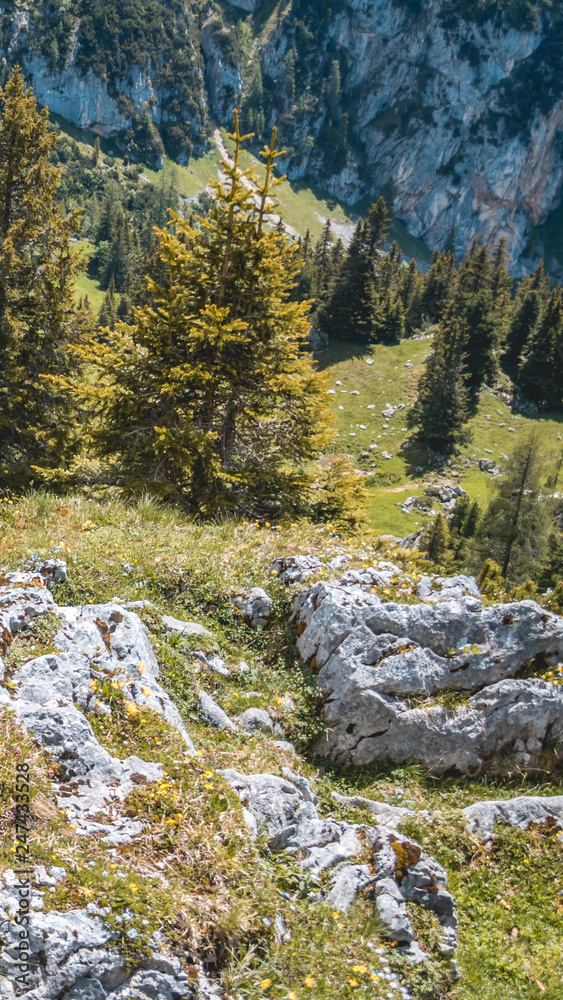Obraz premium Smartphone HD wallpaper of beautiful alpine view at the Achensee - Maurach - Tyrol - Austria