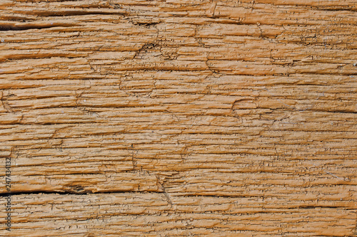 Very Old Wood covered with paint Background, closeup. Old and old wood texture close up. backgrounds, texture is a very old wood covered with paint in the process of prolonged natural decomposition.