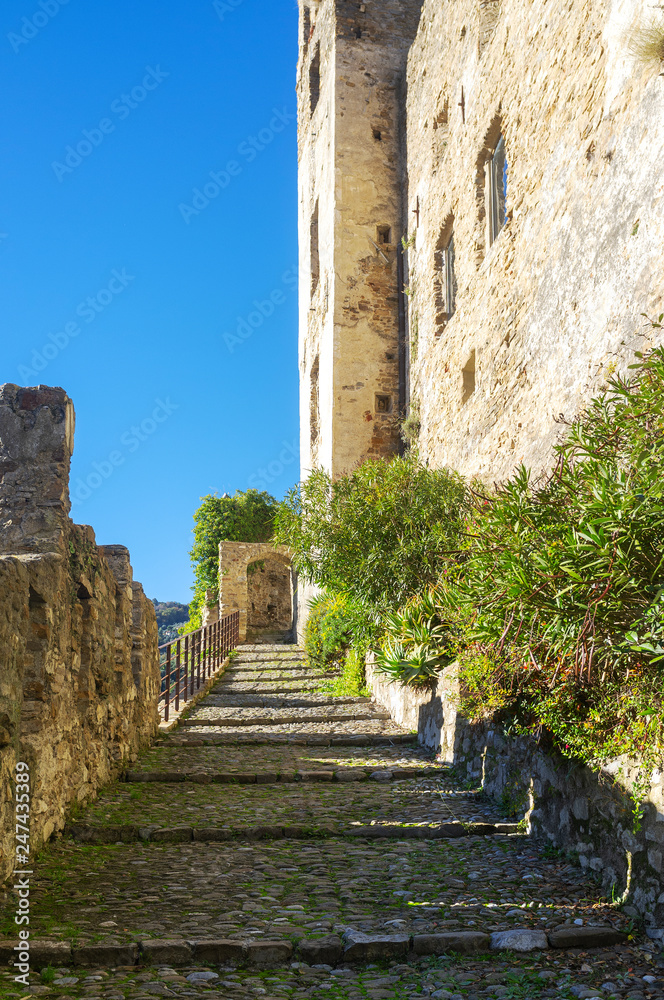 Dolceacqua Castle walls. Color image