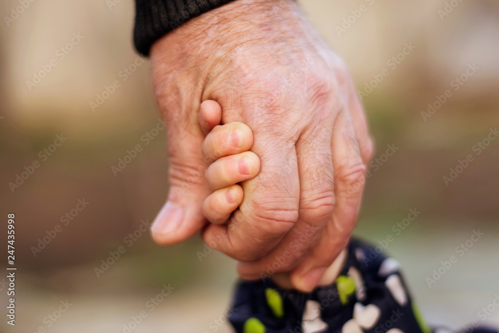 Fototapeta premium Hand of an adult man holding tightly child hand. Family connection, kid safety, protection and anti kidnap concept