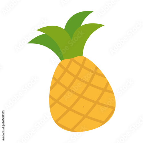 fresh fruit pineapple