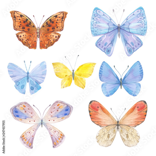 Butterflies. Hand-drawn watercolor illustration on a white background. Collection of isolated elements for design.