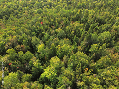 Aerial view of forest in Quebec