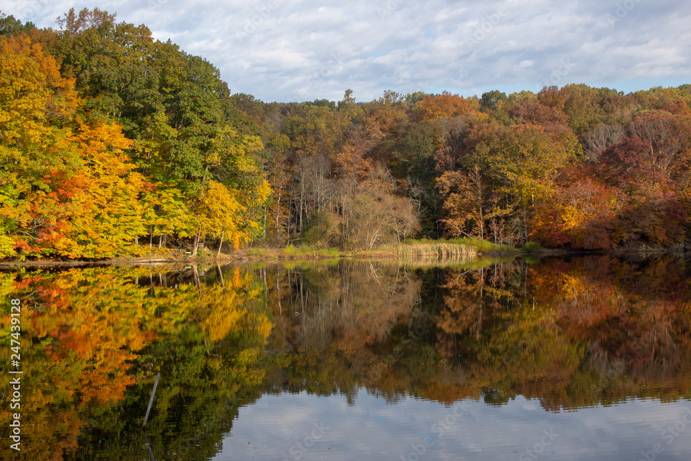 Reflected shore