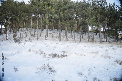 Lo bonito del invierno en Luesia España photo