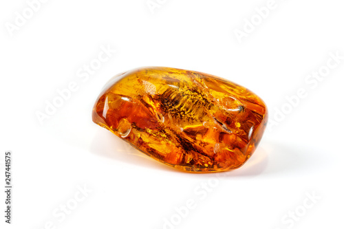 Macro Amber mineral stone with spider on white background photo