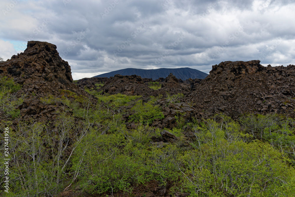 im Lavafeld Dimmuborgir, Myvatn, Island im Lavafeld Dimmuborgir, Myvatn, Island