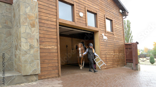 Pretty woman leading horse out of barn. Young smiling woman farmer leading horse out of stable for dressage. Modern horse farm.