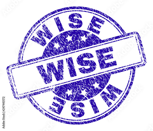 WISE stamp seal watermark with distress texture. Designed with rounded rectangles and circles. Blue vector rubber print of WISE caption with scratched texture.