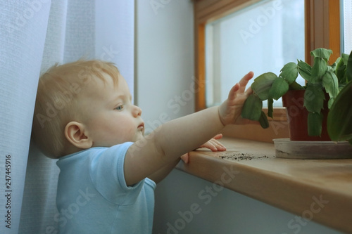 First year baby boy discovers world and crashes unsafety placed plant on the floor