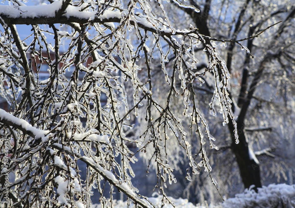 Obraz premium Tsaritsyno park in Moscow after icy rain. Russia