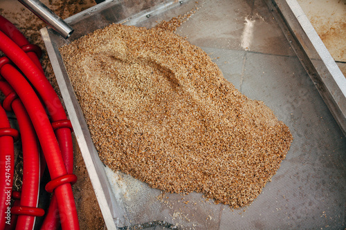 Spent malt is poured into a pan from a tank in a private brewery. photo