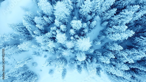 Winterwonderland Engadin