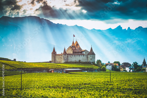 Aigle Castle surrounded by vineyard in Switzerland