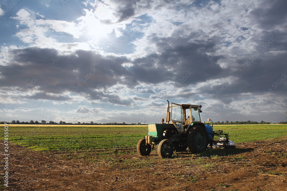 Obraz premium tractor in the field