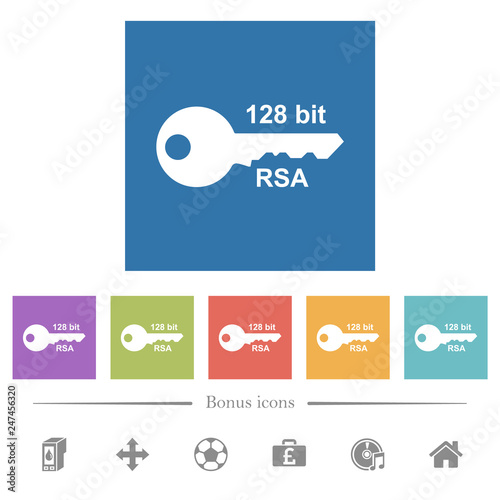 128 bit rsa encryption flat white icons in square backgrounds