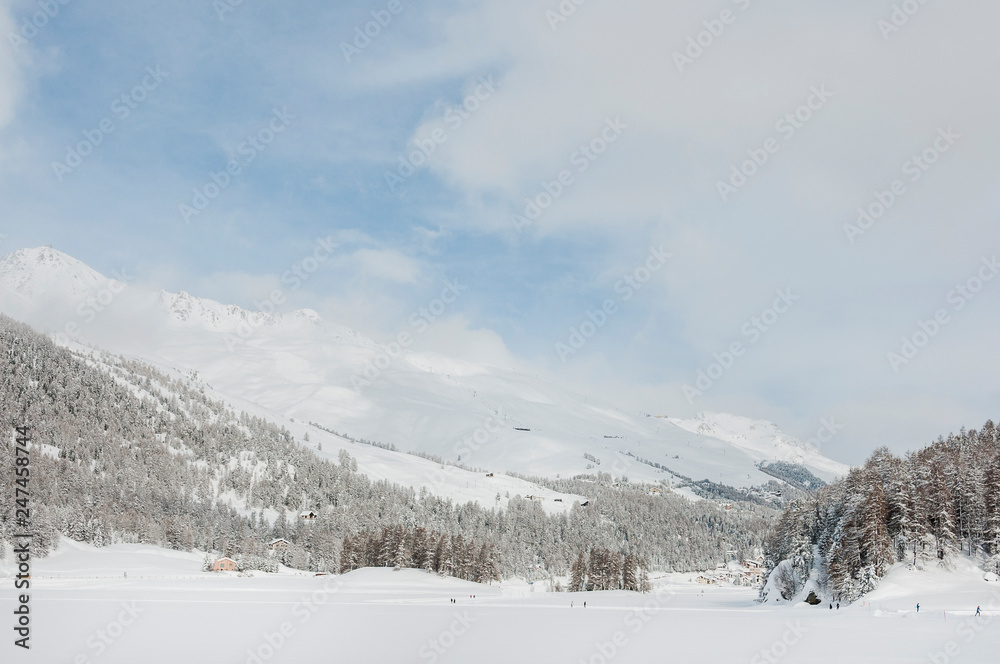 St. Moritz, Champfèr, Champfèrsee, Piz Nair, Langlauf, Langlaufloipe, Alpen, Oberengadin, Graubünden, Winter, Wintersport, Schweiz