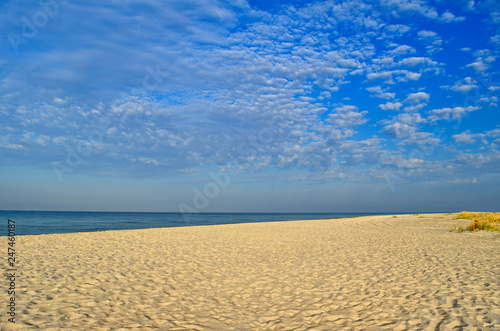 Clean  sandy beach against the blue sea.