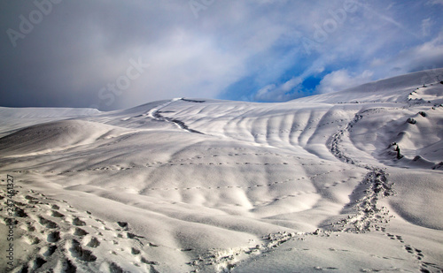 Schnee - Spuren - Winterwonderland - Allg  u