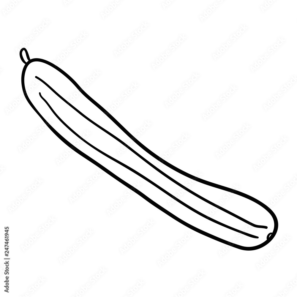 Cartoon doodle linear cucumber isolated on white background. Vector illustration. Cartoon doodle linear cucumber isolated on white background. Vector illustration.