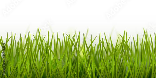 Vector realistic seamless green grass border or frame isolated on white background - nature, ecology, environment, gardening template