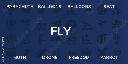 fly icon set