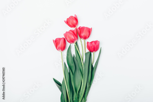 Bouquet of beautiful pink tulip flowers