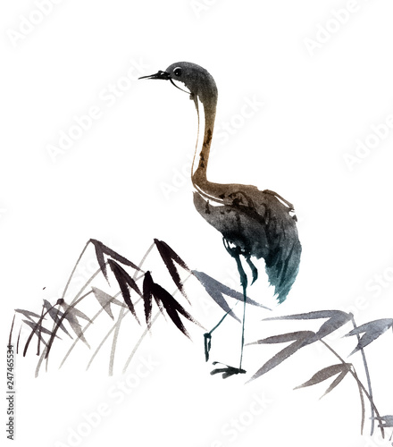 Fotografi Illustration of heron