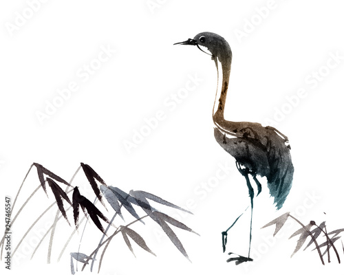Illustration of heron photo