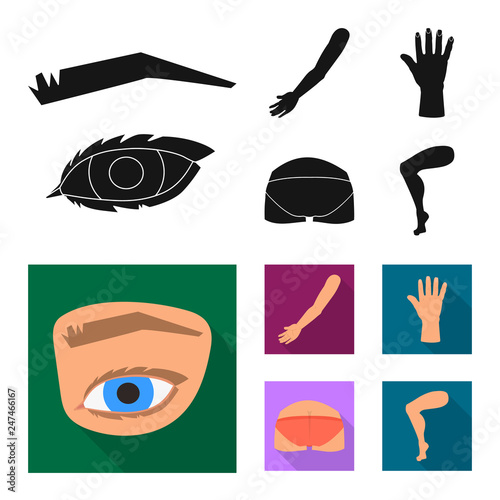 Isolated object of body and part icon. Set of body and anatomy stock vector illustration.