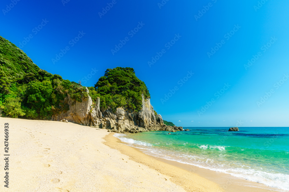 tropical beach in abel tasman national park, new zealand 4 tropical beach in abel tasman national park, new zealand 4