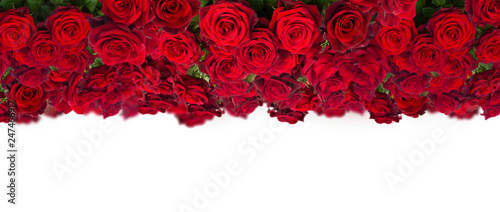 bouquet of dark  red roses  close up