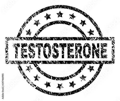 TESTOSTERONE stamp seal watermark with distress style. Designed with rectangle, circles and stars. Black vector rubber print of TESTOSTERONE title with scratched texture.