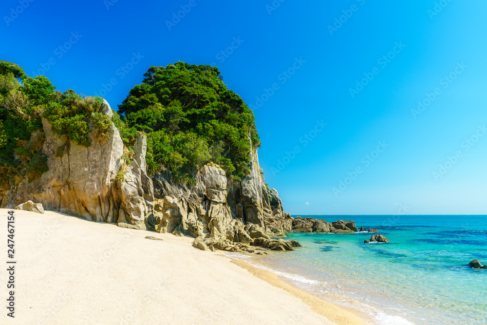 tropical beach in abel tasman national park, new zealand 7 tropical beach in abel tasman national park, new zealand 7