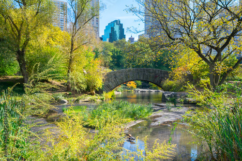 Beautiful autumn day in Central Park - New York, USA photo