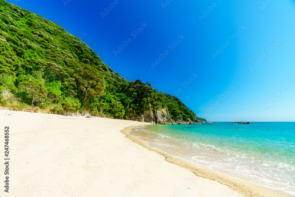 tropical beach in abel tasman national park, new zealand 19