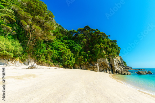 tropical beach in abel tasman national park, new zealand 22